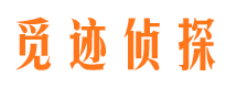 元江市侦探